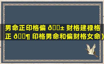 男命正印格偏 🐱 财格建禄格（正 🐶 印格男命和偏财格女命）